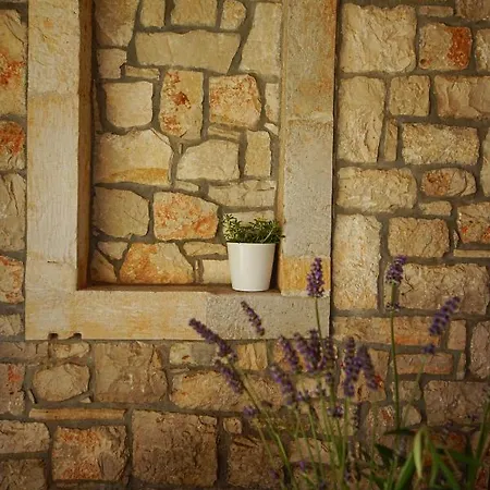 Stapo Апартаменты