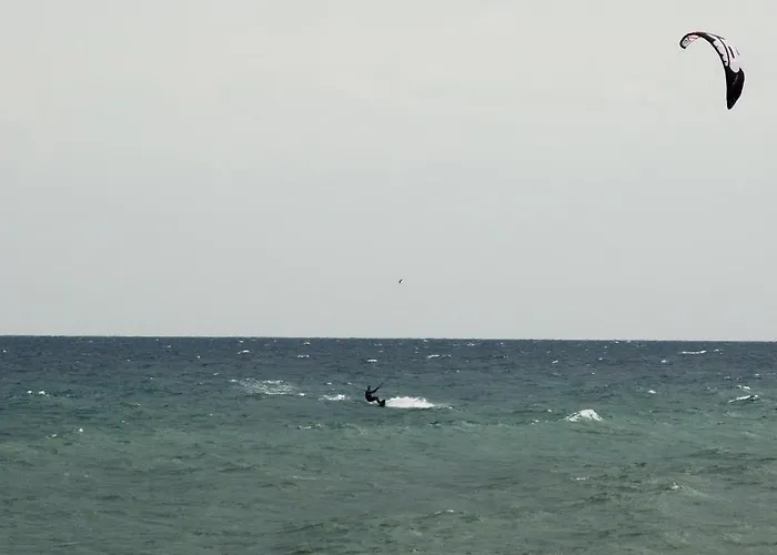 Stapo Umag