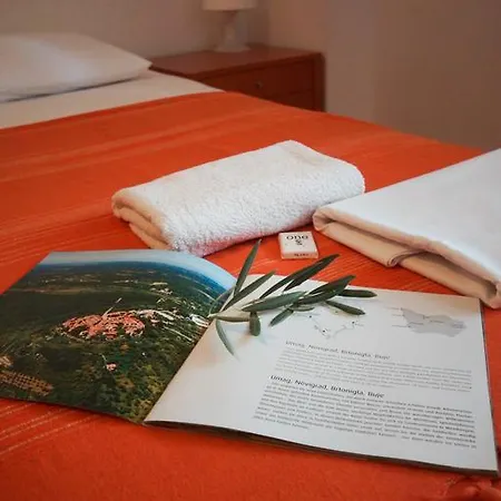 Apartmán Stapo *