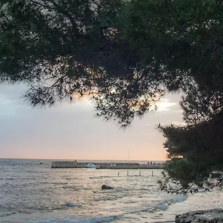 Stapo Umag