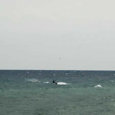Stapo Umag